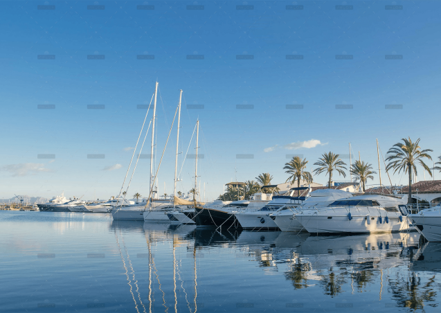 demo-attachment-648-Image-2